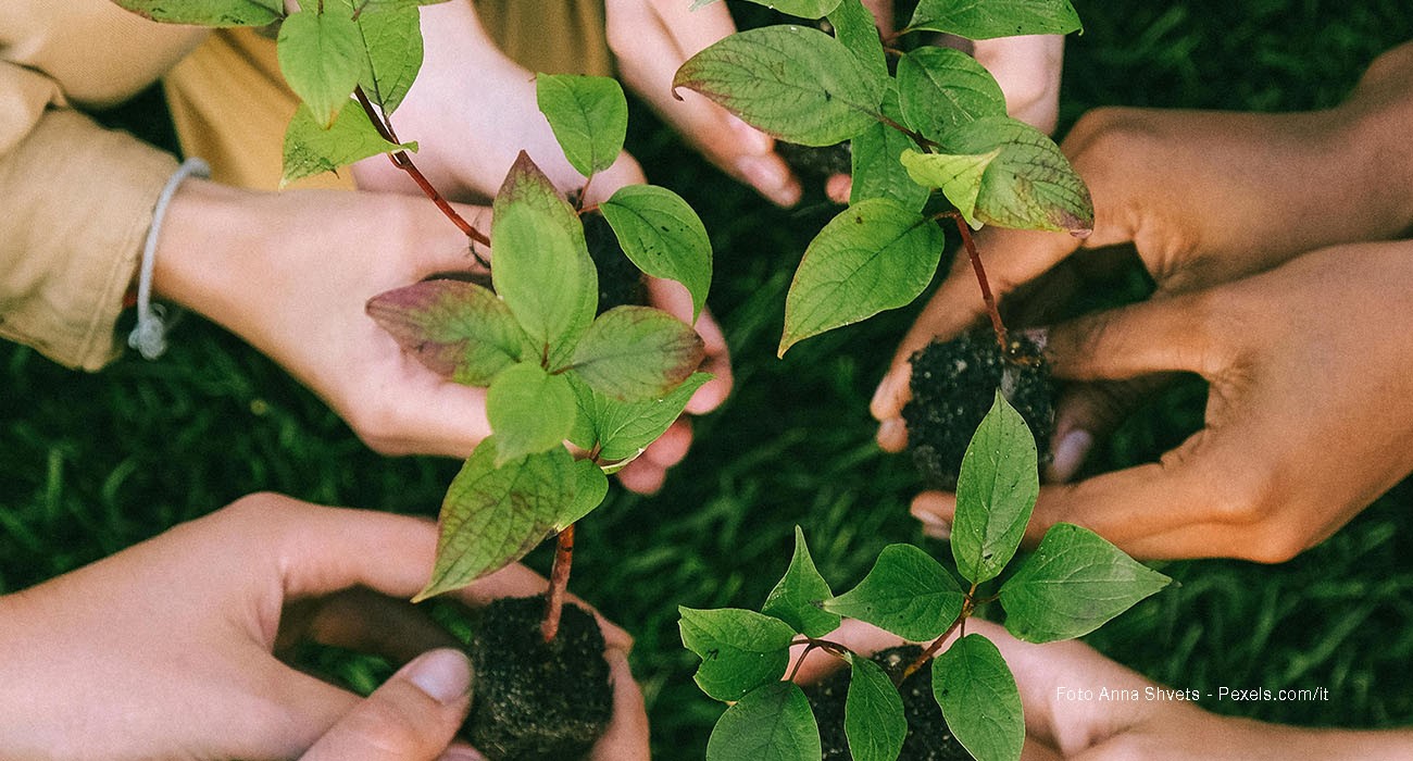 Nuove regole delle Nazioni unite per il mercato del carbonio