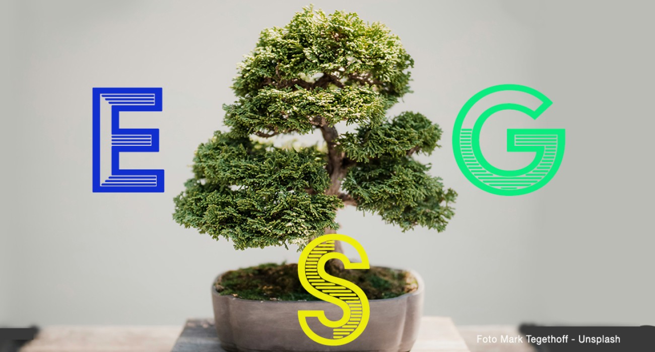 Contributi per certificazioni ESG da Cciaa Emilia