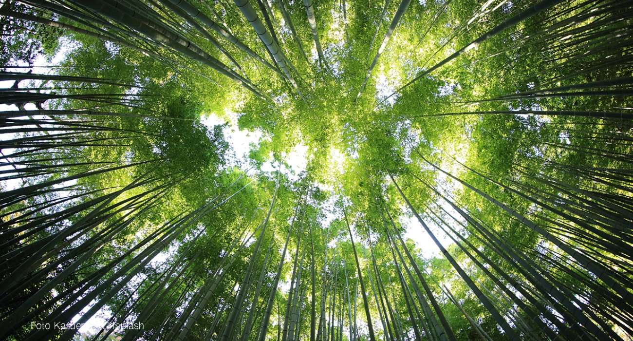 Oggi è la Giornata della Terra