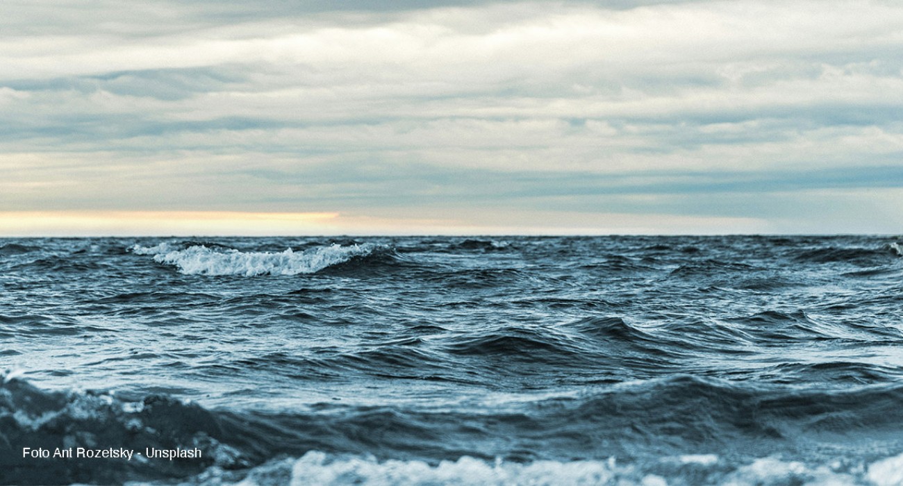 Oggi è la Giornata mondiale degli Oceani