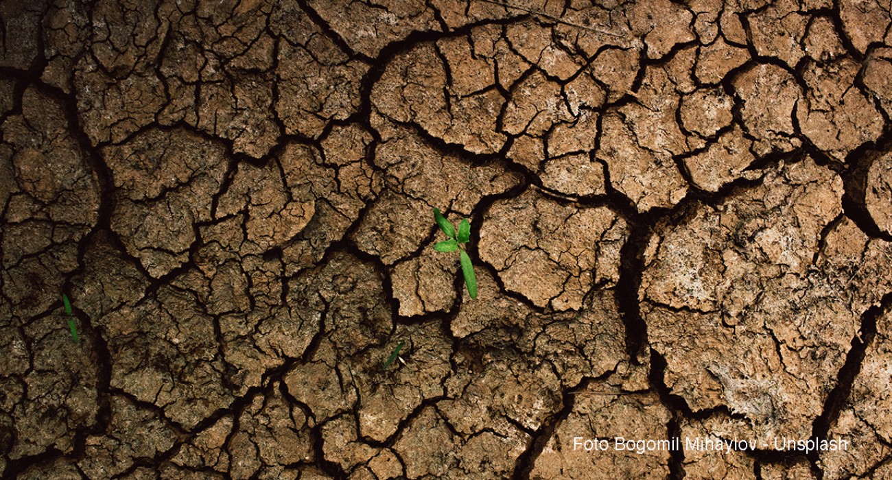 Il climate change costa caro