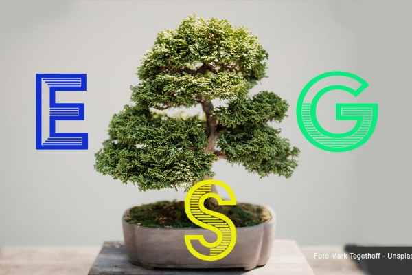 Sostenibilità: un documento sui fattori ESG nella valutazione d’azienda