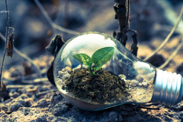 L’impatto dell'innovazione sulla finanza agevolata