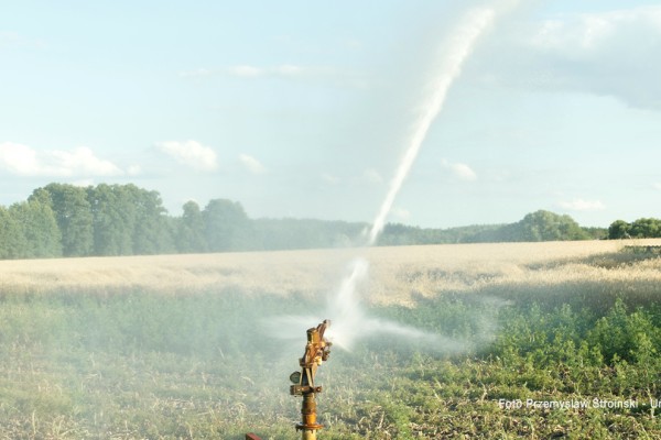 Disponibilità acqua: nel 2023 in Italia -18% rispetto al 1951
