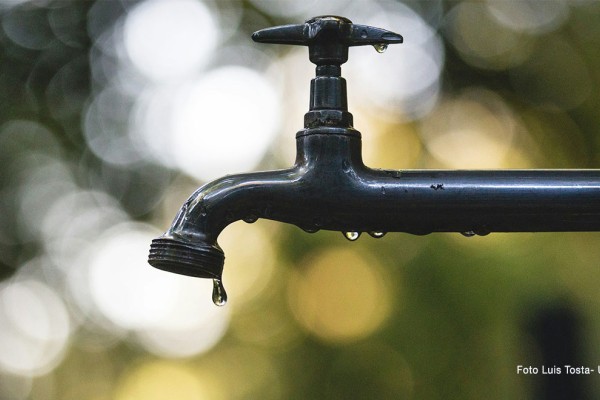 Una intelligenza artificiale di acqua dolce